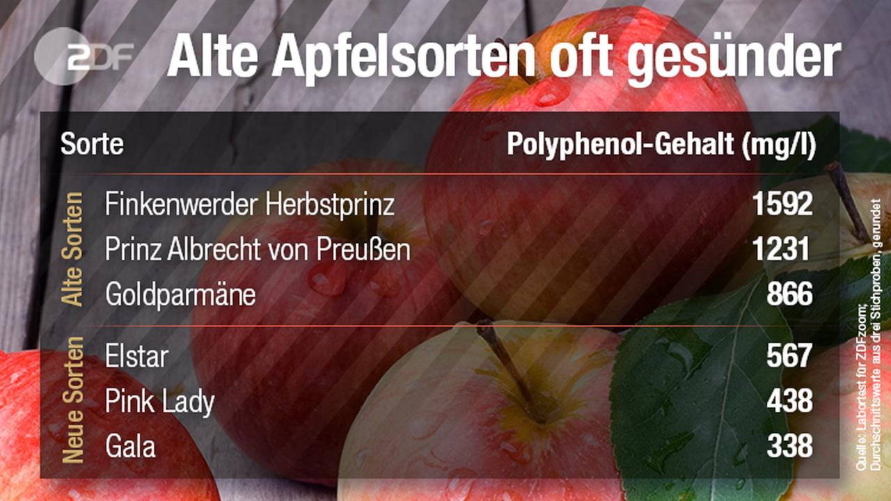 Grafik: Apfelsorten und ihr Polyphenolgehalt