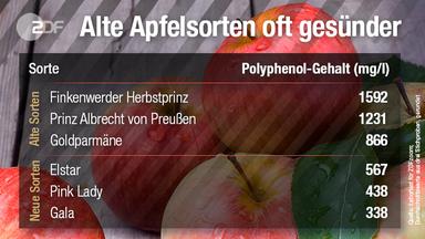Grafik: Apfelsorten und ihr Polyphenolgehalt