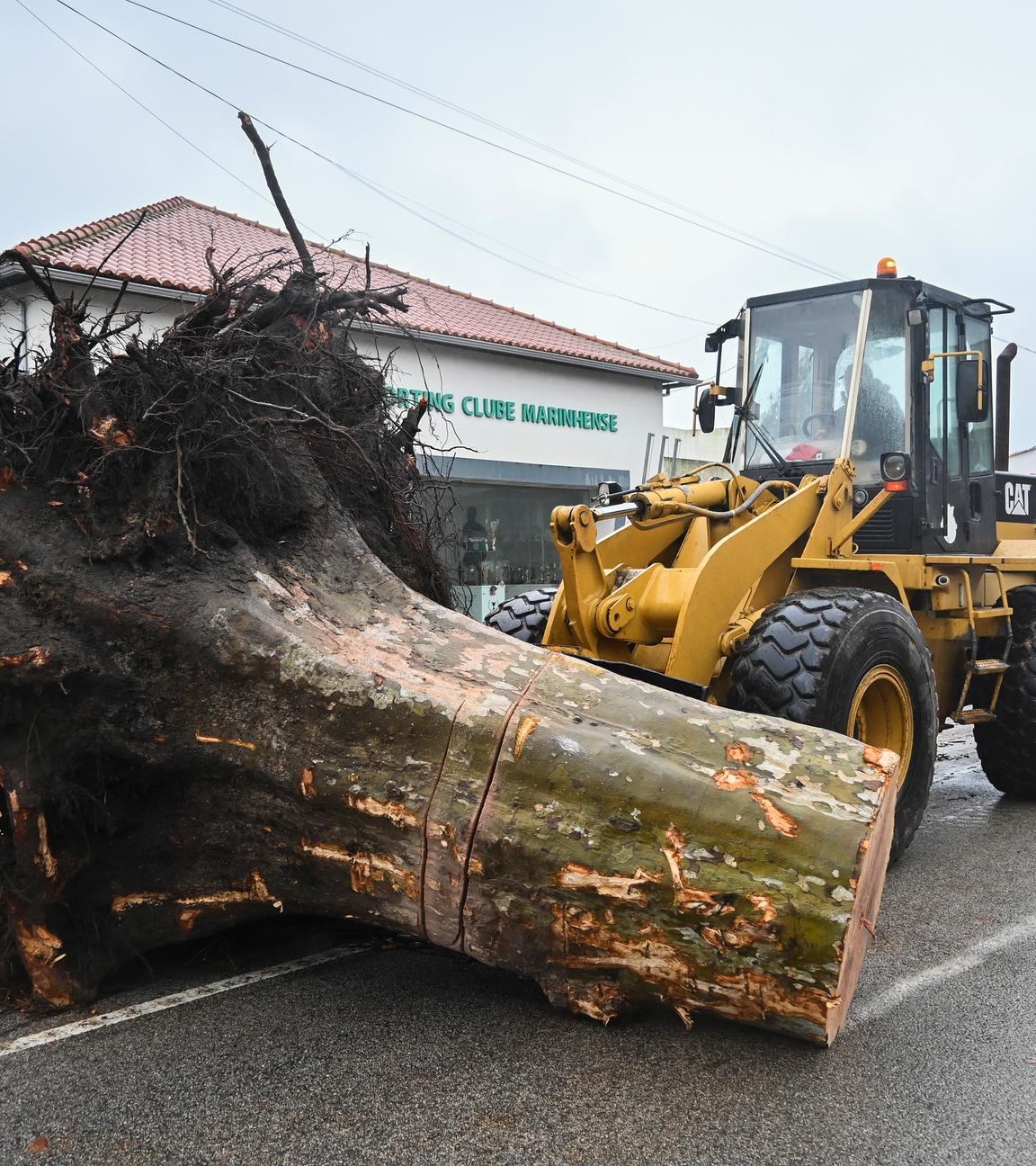 Embra, Portugal: Ein Bagger transportiert einen entwurzelten Baumstamm.