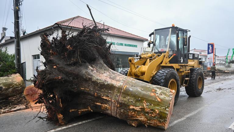 Embra, Portugal: Ein Bagger transportiert einen entwurzelten Baumstamm.