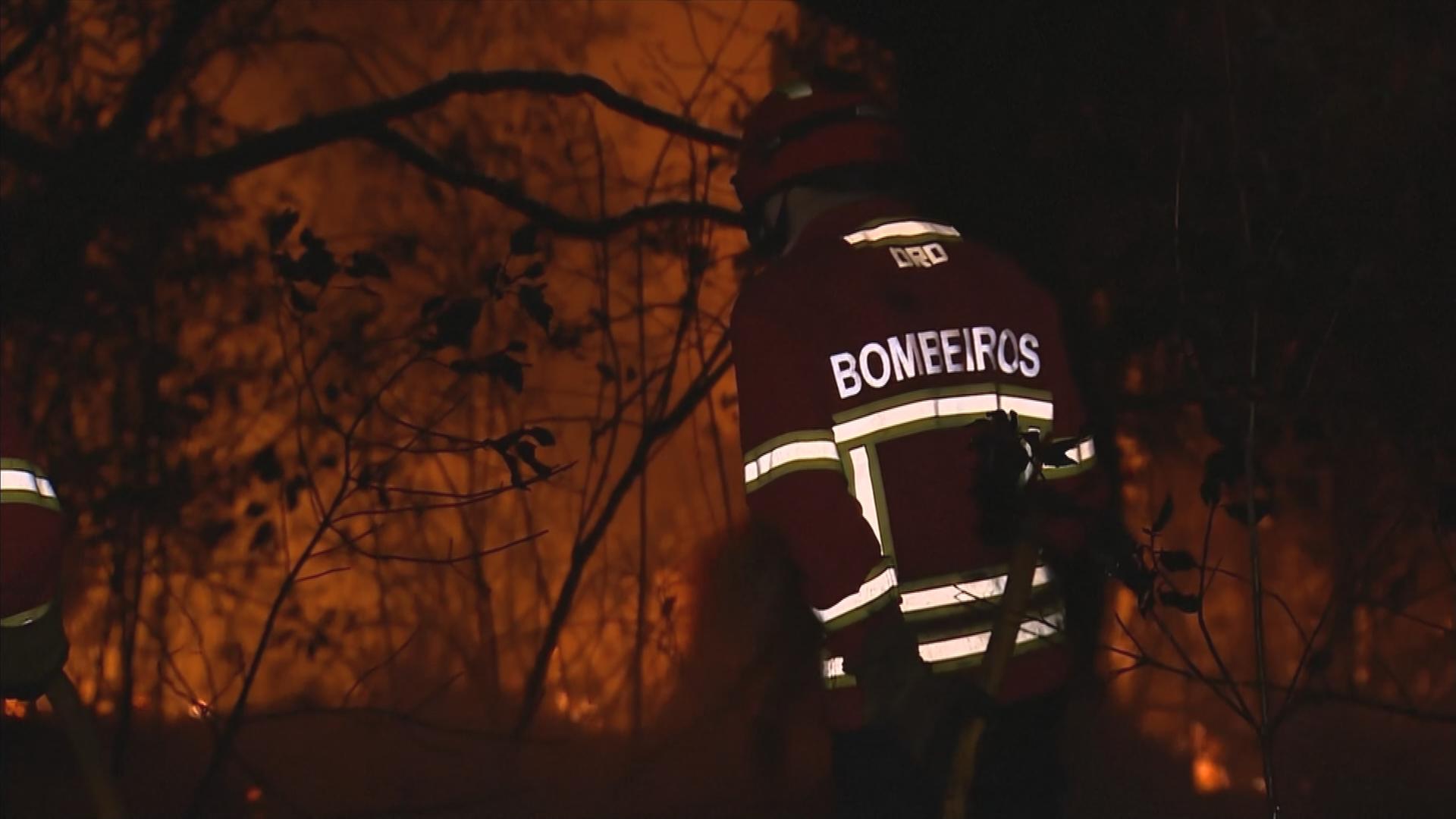 Portugal: Lehren aus den Waldbränden