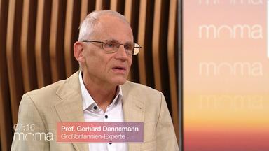 premier-ruecktritt-optimismus-nachfolger-