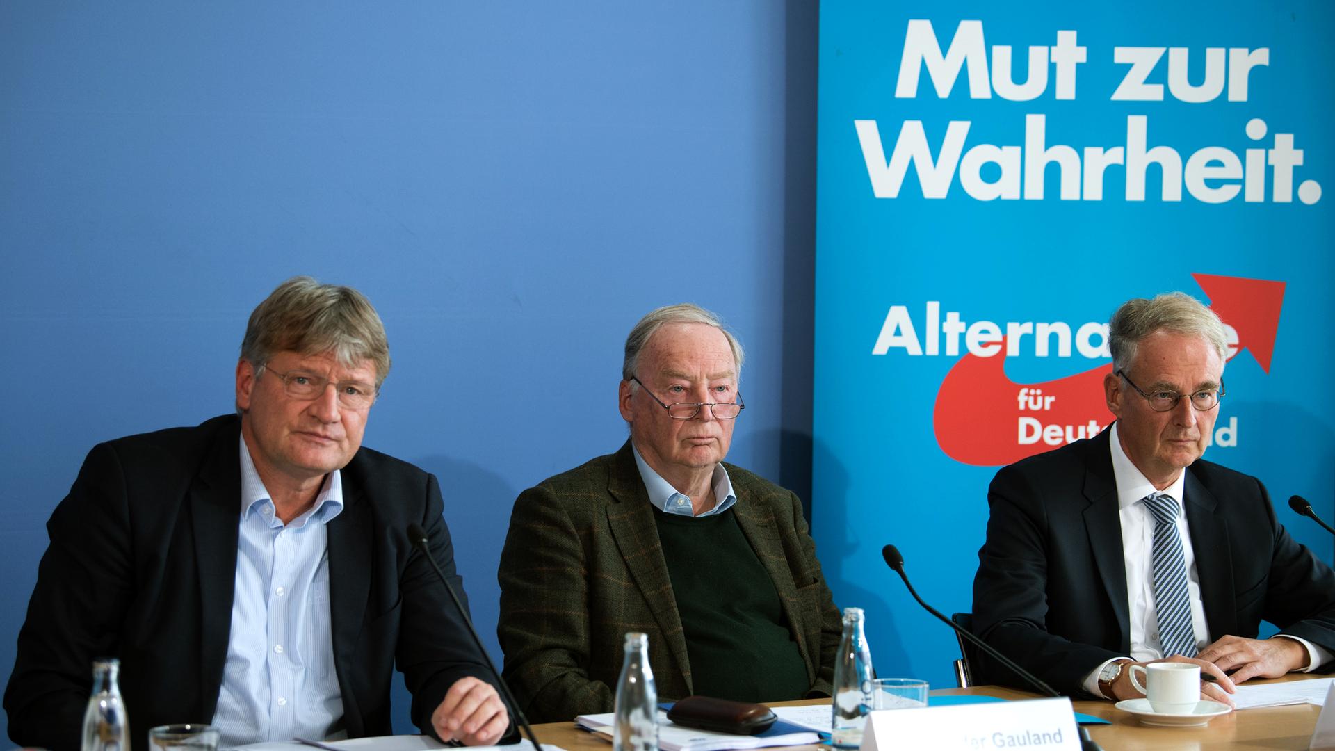 Jörg Meuthen, Alexander Gauland und Roland Hartwig
