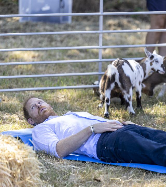 Prinz Harry liegt währen des Ziegenyogas auf einer Yogamatte. Neben ihm sitzt ein Kind und im Hintergrund stehen Ziegen. 
