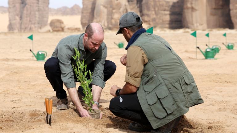 Prinz William pflanzt Baum in Saudi-Arabien