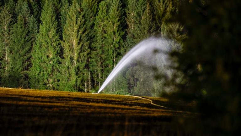 Eine Wiese, die sich in der Nähe des brennenden Hohen Venn befindet, wird mit Wasser prophylaktisch befeuchtet am 17.08.2026 in Monschau, Nordrhein-Westfalen.