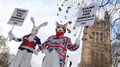 Mitglieder der Tierrechtsorganisation Peta demonstrieren in London