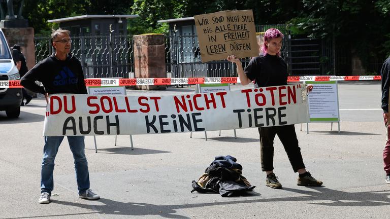 Nürnberg: Animal Rebellion und vereinzelte Demonstranten anderer Gruppierungen stehen mit Protestschildern "Du Sollst nicht töten auch keine Tiere" und "Wir sind nicht still, bis alle Tiere in Freiheit leben" vor dem Tiergarten Nürnberg.