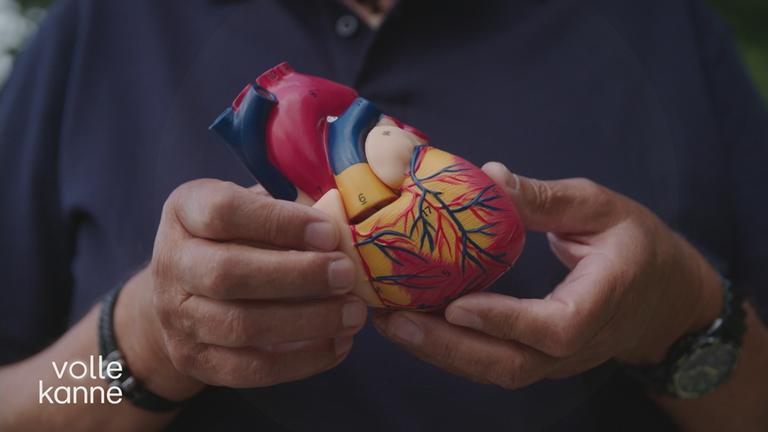 Psycho-Kardiologie: Das Zusammenspiel von Herz und Psyche