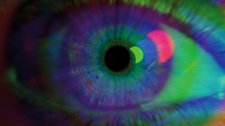 Das Auge vom Publikumspreis