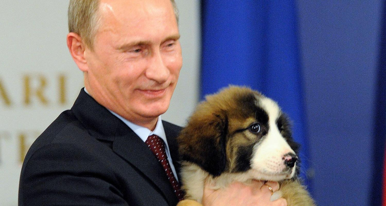 Der russische Prtäsident hält lächelnd seinen neuen Hirtenhund Baffi in die Kamera.