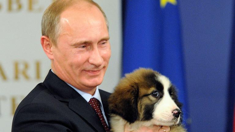 Der russische Prtäsident hält lächelnd seinen neuen Hirtenhund Baffi in die Kamera.