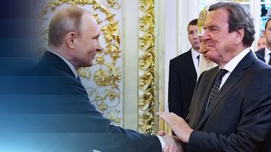 Live: Schröder als Putins Vermittler?