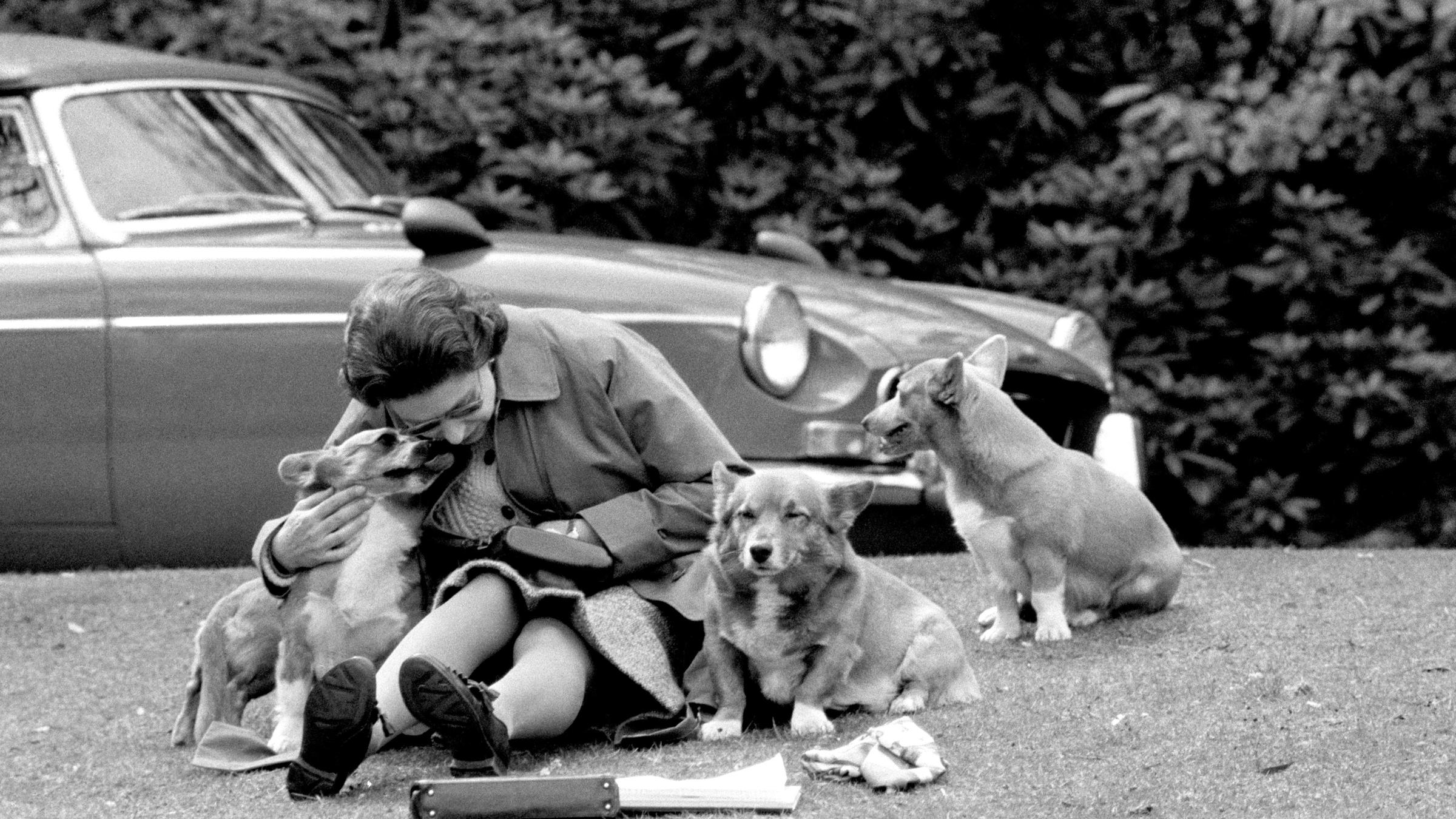 Queen Elizabeth II. mit Corgi-Welpen 1973