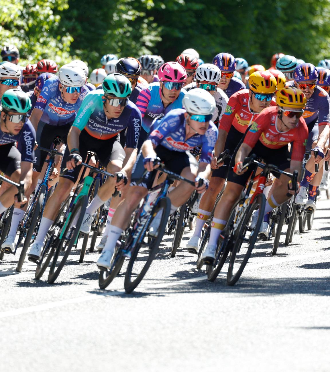 Das Radrennen Eschborn-Frankfurt 2026 - hier am Fuß des Mammolshainer Hangs von Königstein im Taunus am 01.05.2026.