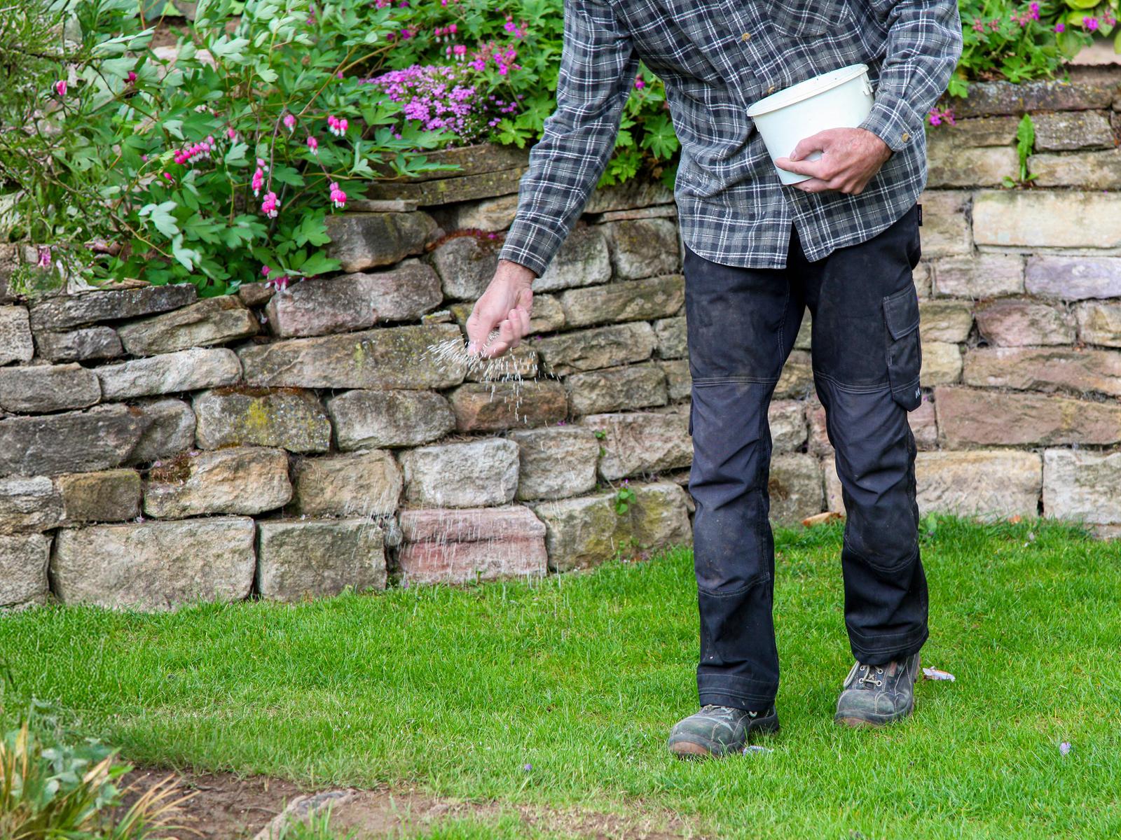 Rasen im Frhling pflegen: Tipps zum Mhen und Dngen
