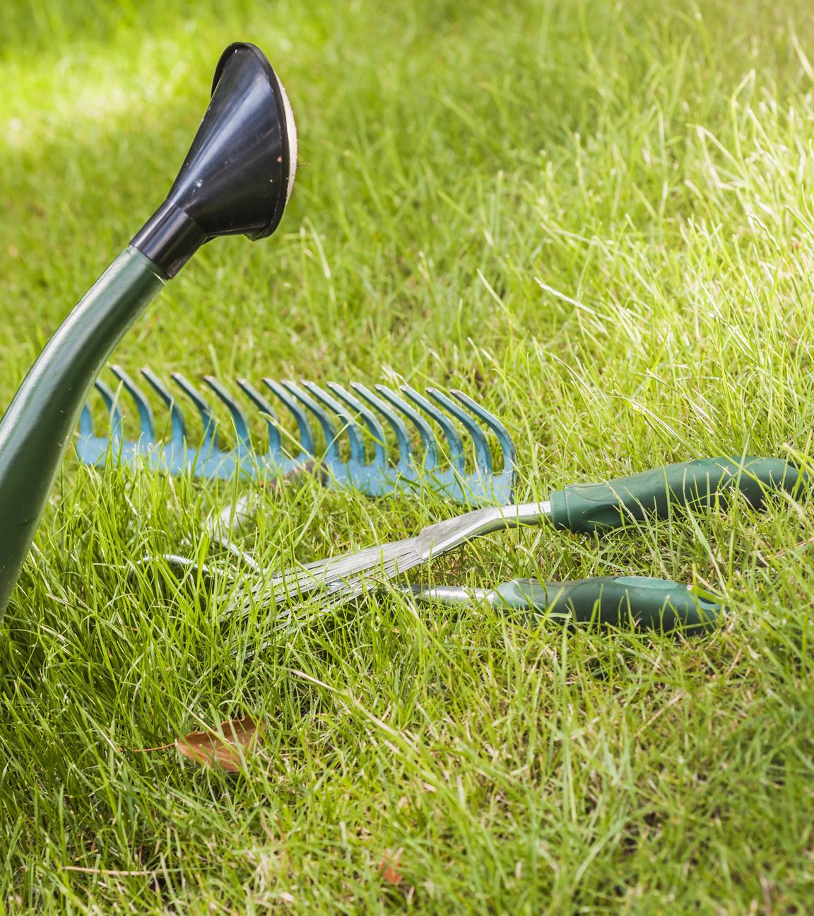 Utensilien für Gartenarbeit liegen auf dem Rasen, im Vordergrund eine Gießkanne.