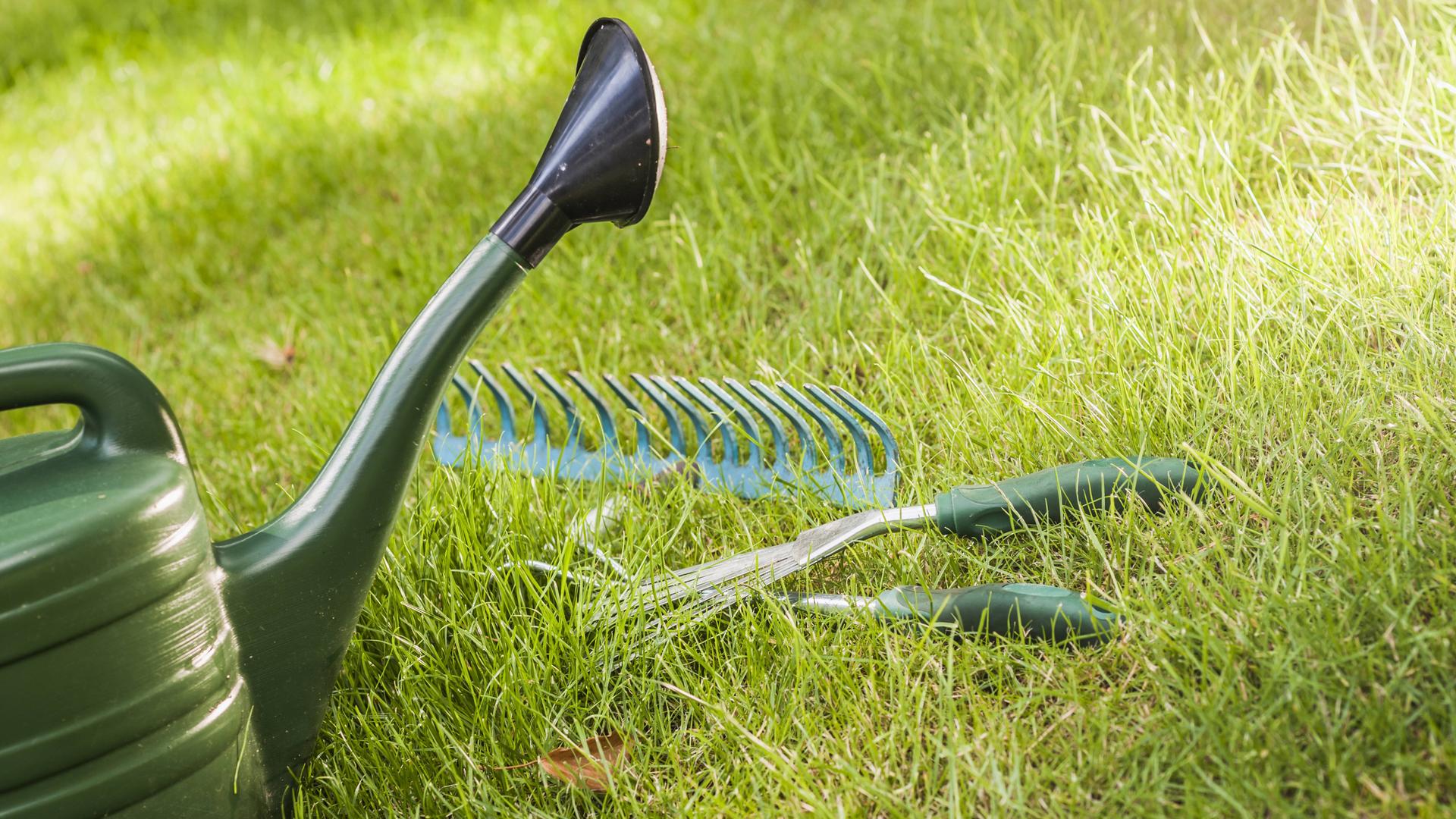 Utensilien für Gartenarbeit liegen auf dem Rasen, im Vordergrund eine Gießkanne.