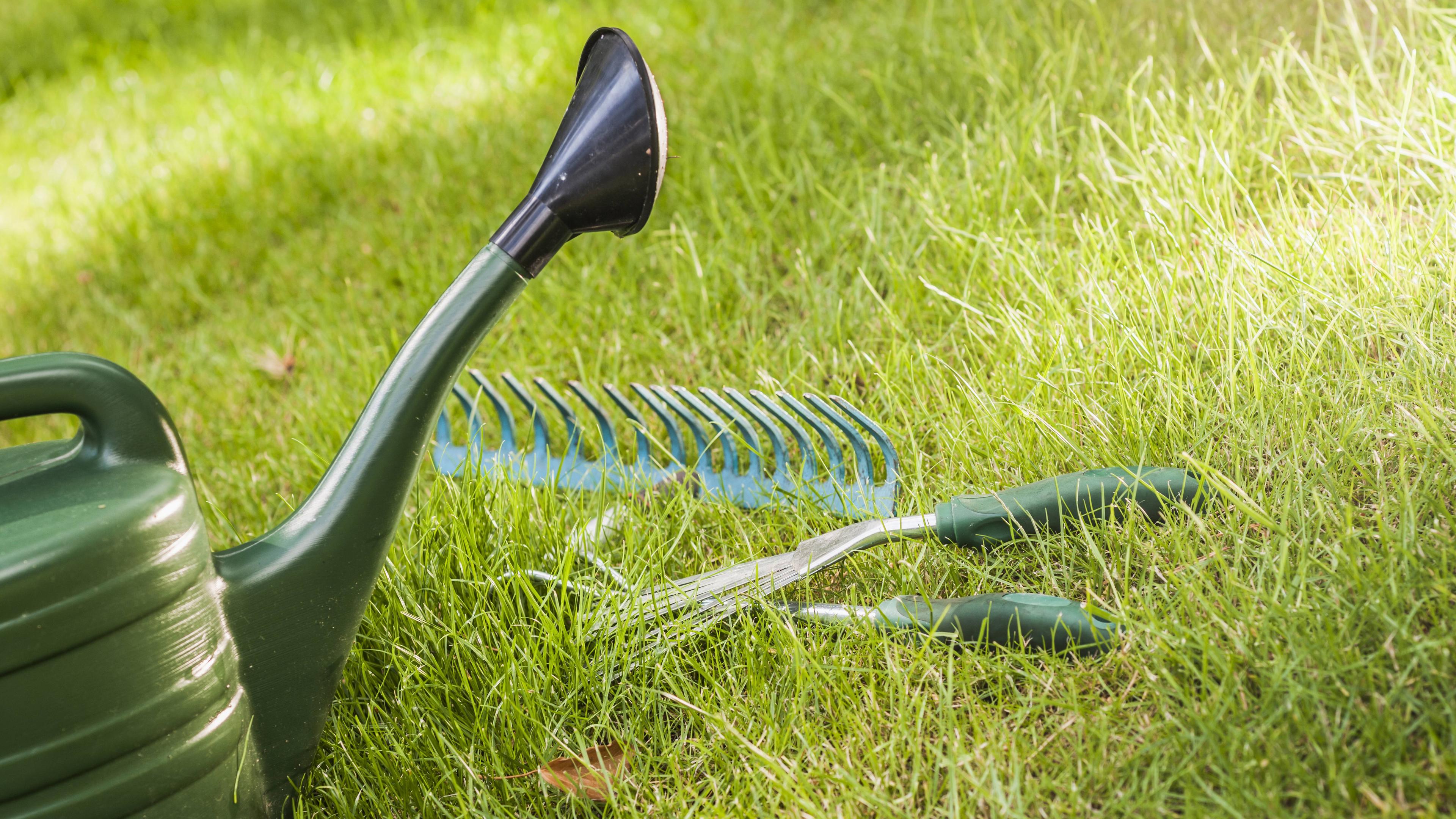 Utensilien für Gartenarbeit liegen auf dem Rasen, im Vordergrund eine Gießkanne.