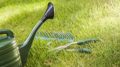 Utensilien für Gartenarbeit liegen auf dem Rasen, im Vordergrund eine Gießkanne.