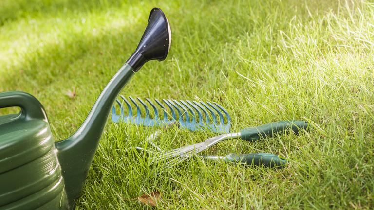 Utensilien für Gartenarbeit liegen auf dem Rasen, im Vordergrund eine Gießkanne.