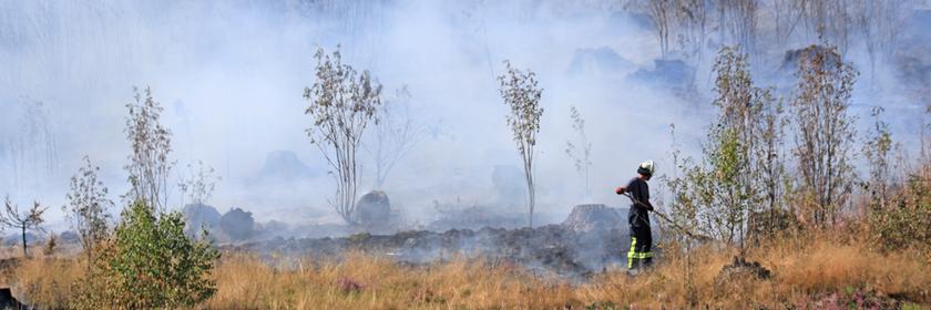 Rauch steigt aus einem Wald bei Benneckenstein auf.
