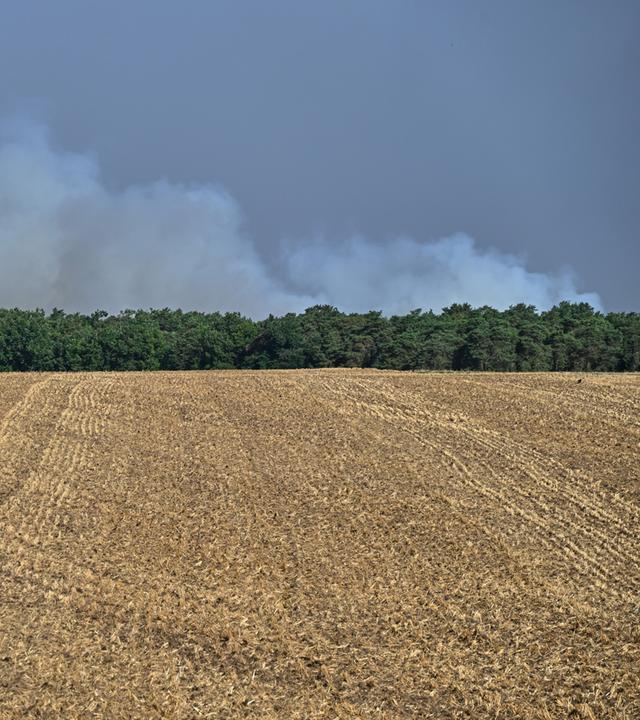 Bei Waldbränden im historischen Wald von Fontainebleau, etwa 60 km (37 Meilen) südlich von Paris, Frankreich, steigen am 13.07.2026, Rauchwolken in den Himmel. 