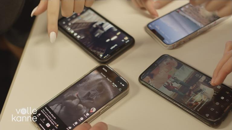 Rechtsextreme Inhalte auf TikTok 