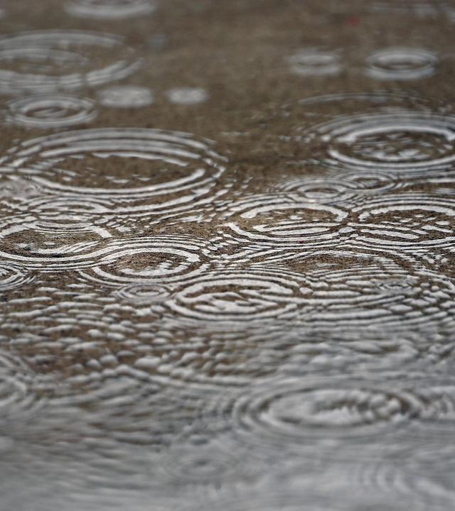 Regentropfen fallen auf einen nassen Boden und erzeugen viele kreisförmige Wellen auf der Wasseroberfläche.