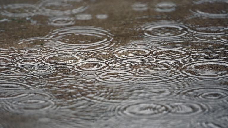 Regentropfen fallen auf einen nassen Boden und erzeugen viele kreisförmige Wellen auf der Wasseroberfläche.