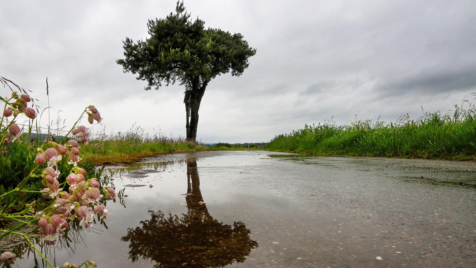 Regenwetter bei Riedlingen, Baden-Württemberg