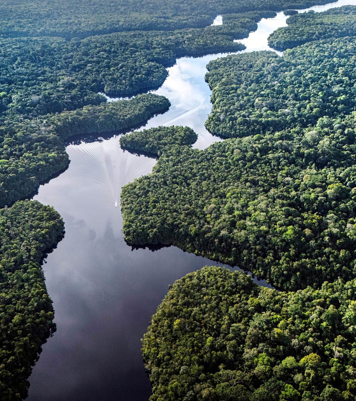 Klimaforschungszentrum im Amazonas