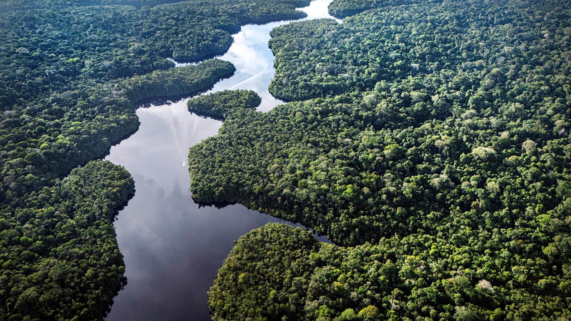 Klimaforschungszentrum im Amazonas