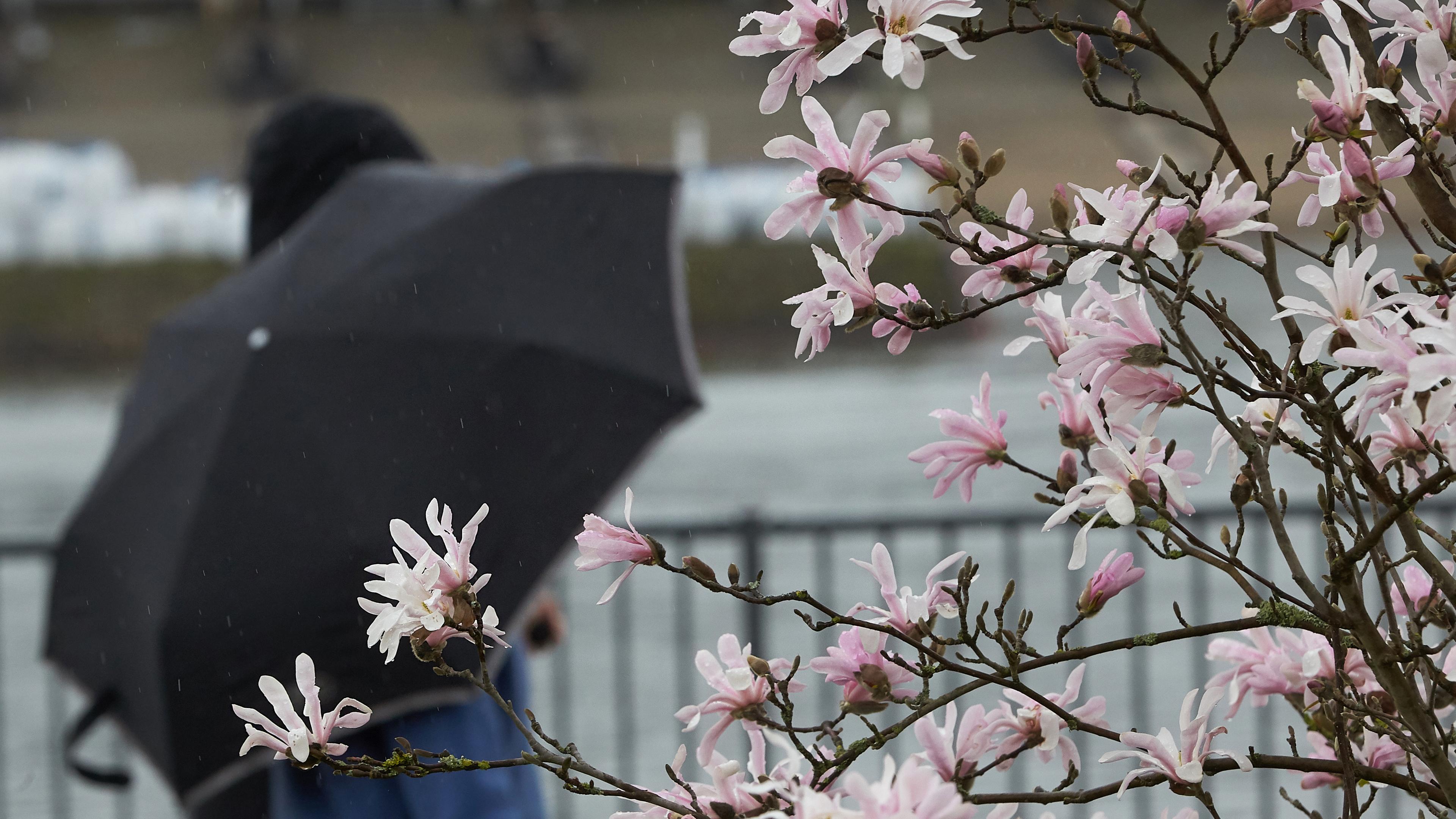 Fussgänger mit Schirm bei Regenwetter im April