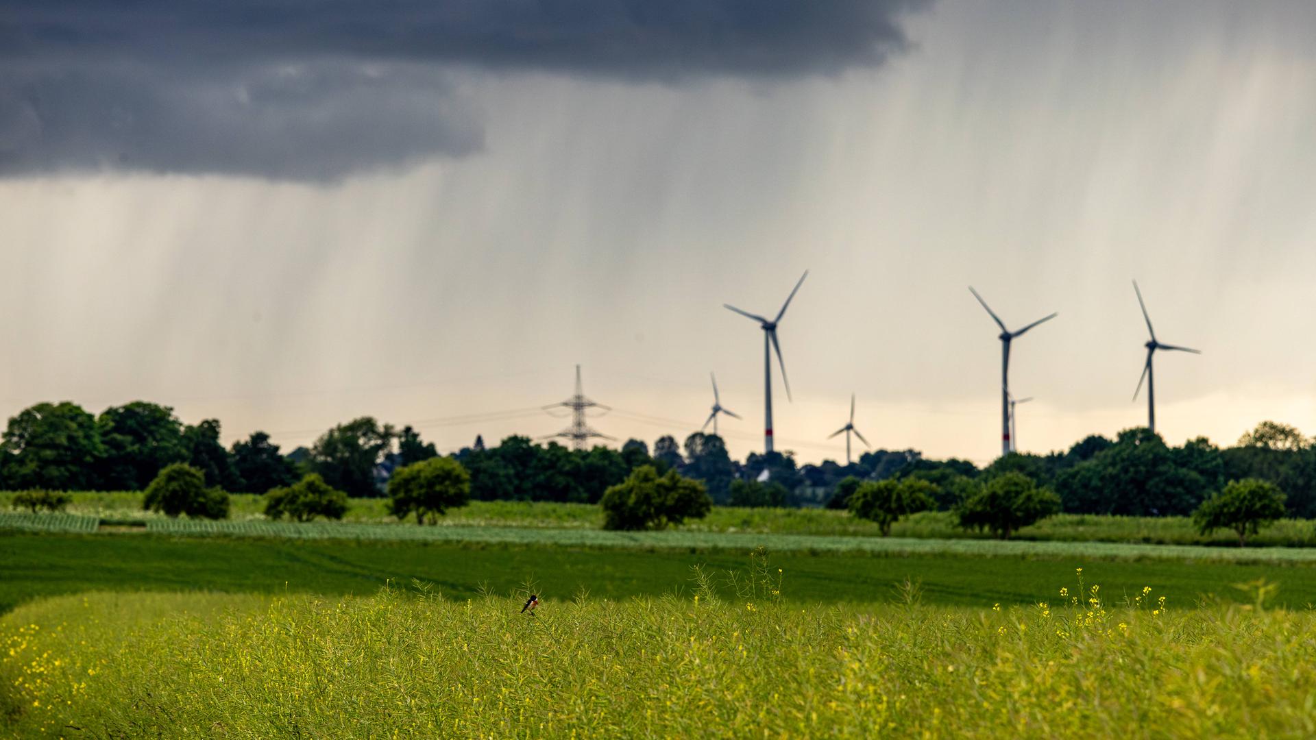 Auf die Hitze folgen in den kommenden Tagen kühlere Temperaturen. (Symbolbild)