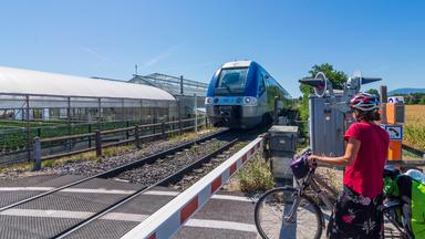 Regionalbahn, Unterelsass, Molsheim Bas-Rhin