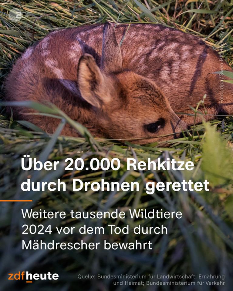 Grafik: Über 20.000 Rehkitze durch Drohnen gerettet