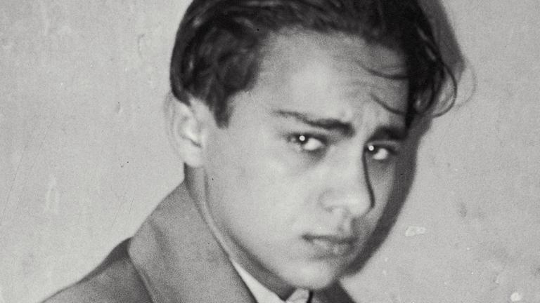 Anlass ist das Attentat des 17-jähhrigen polnischen Juden Herschel Grynszpan auf den deutschen Diplomaten Ernst von Rath in Paris zwei Tage zuvor, am 7. November 1938.