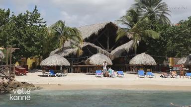 Ein Strand mit Palmen und einer Holzhütte im Hintergrund. Am Strand befinden sich Menschen auf Liegen.
