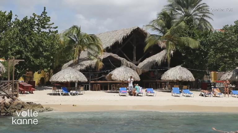 Ein Strand mit Palmen und einer Holzhütte im Hintergrund. Am Strand befinden sich Menschen auf Liegen.