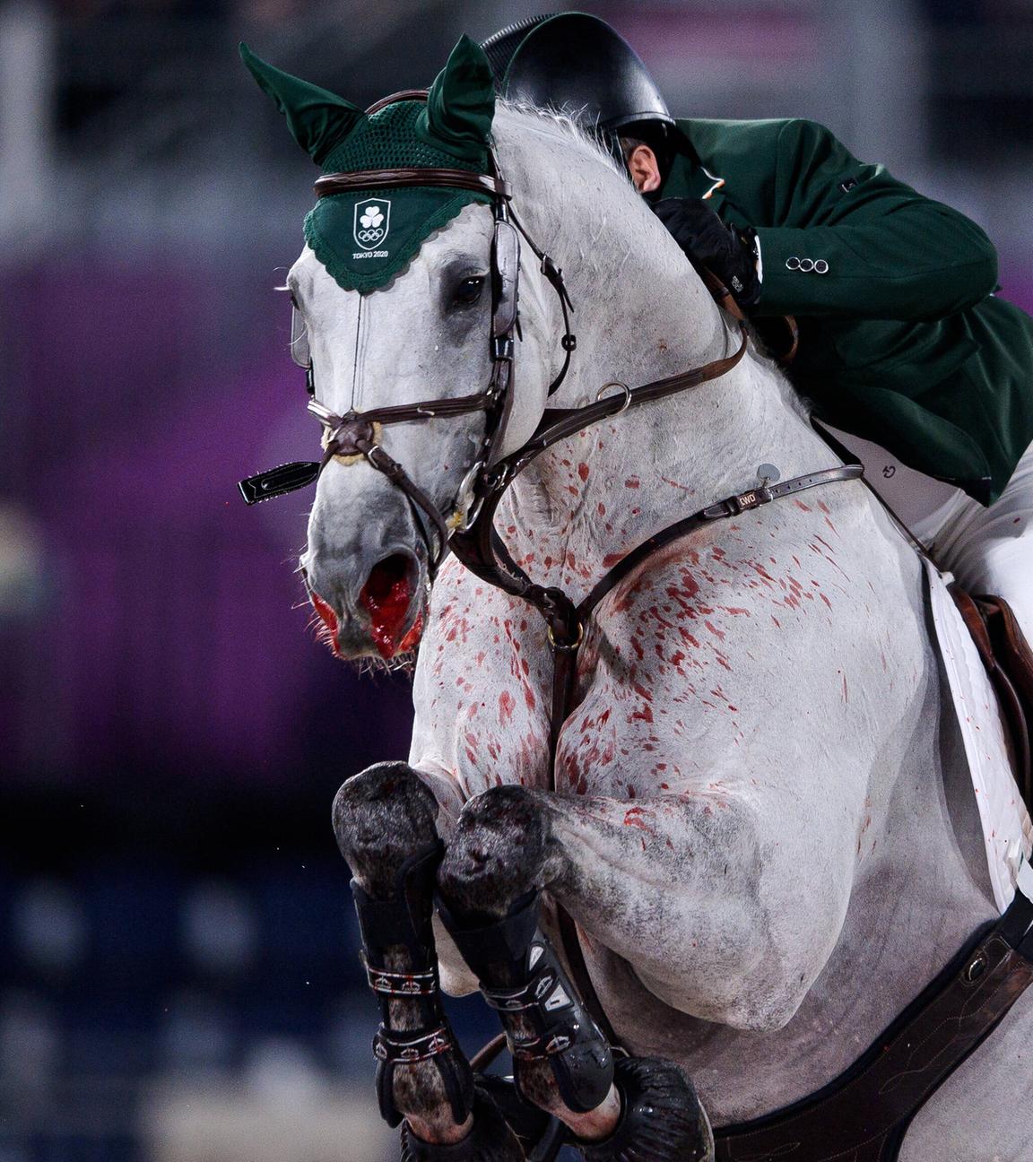 Pferd Kilkenny beim Springreiten Einzelwettbewerb in Tokio