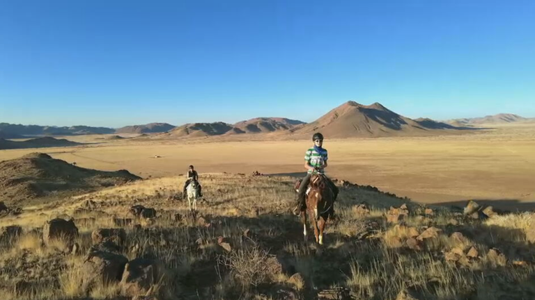 Aus Urlaub wird Zuhause: Freda in Namibia