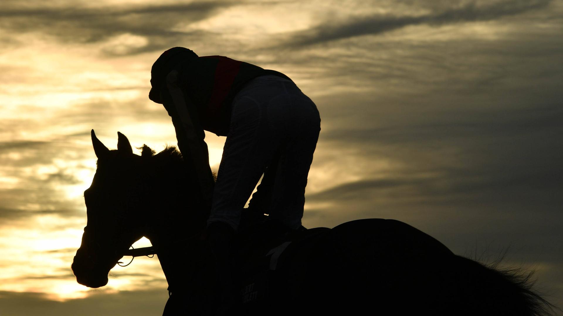Ein Reiter auf einem Pferd ist im Gegenlicht zu sehen