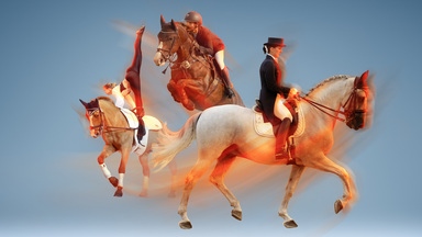 Reitsport Bildcollage