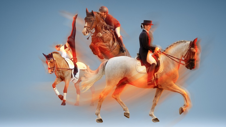 Reitsport Bildcollage