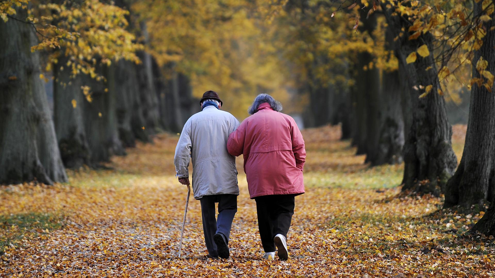 Ein älteres Paar geht im Park von Schloss Wilhemsthal in Calden (Archivfoto)