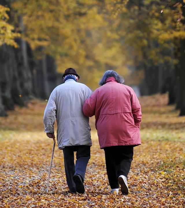 Ein älteres Paar geht im Park von Schloss Wilhemsthal in Calden (Archivfoto)