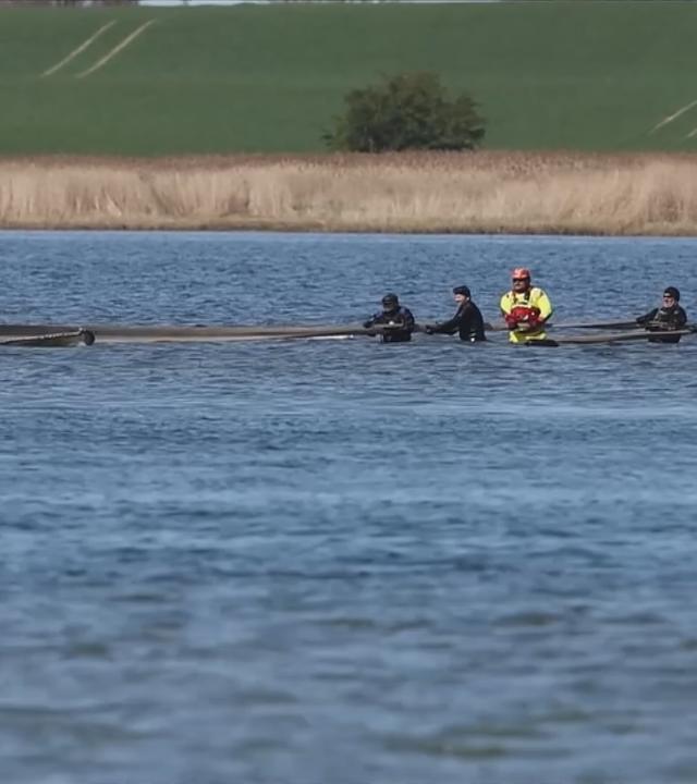 Rettungsaktion für den Buckelwal