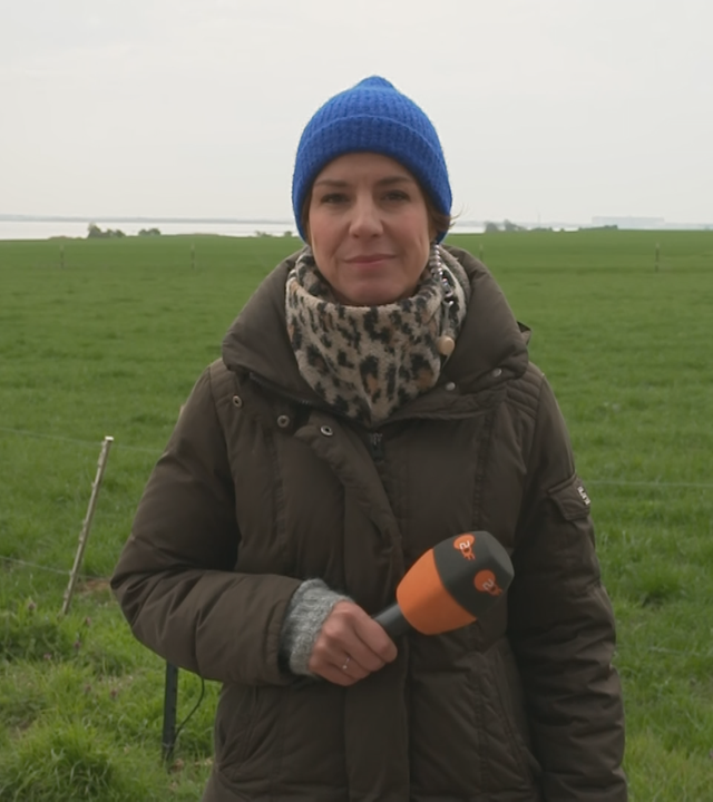 ZDF-Reporterin Anne Stadtfeld auf Poel bei der privaten Rettungsaktion des Buckelwals Timmy