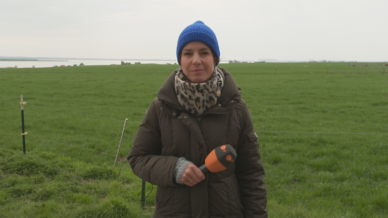 ZDF-Reporterin Anne Stadtfeld auf Poel bei der privaten Rettungsaktion des Buckelwals Timmy